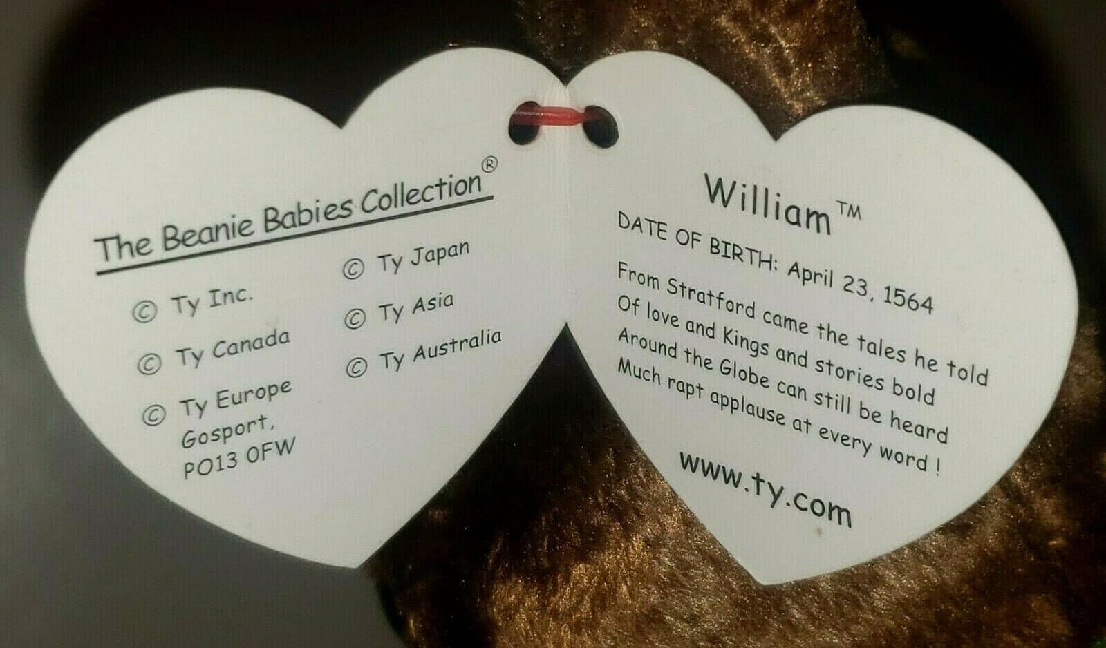 Ty Beanie Baby WILLIAM (Shakespeare) Bear Closed Book (Europe Exclusive) MWMTs 4