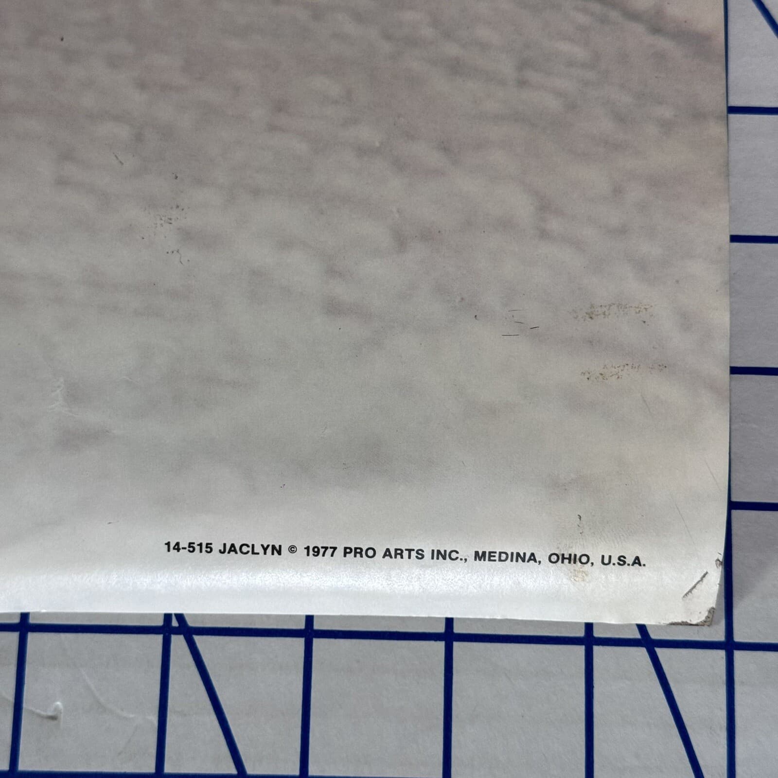 Jaclyn Smith  Vintage 1977 Poster 20”x28”  6