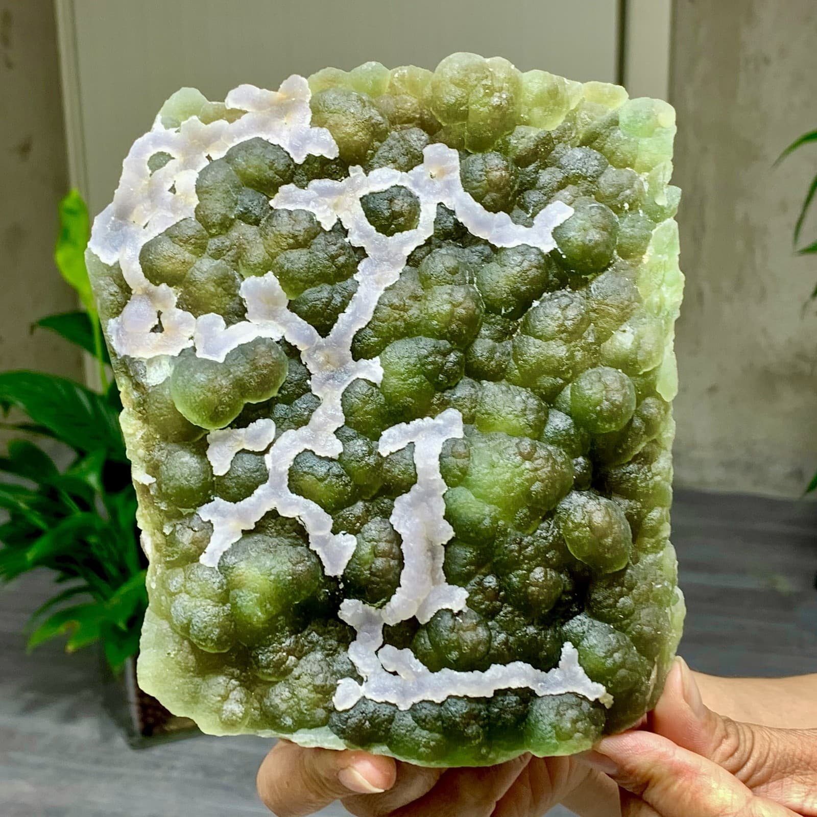3.7LB Natural Fluorite Green-white dual color crystal mineral Specimen,Zhejiang 5