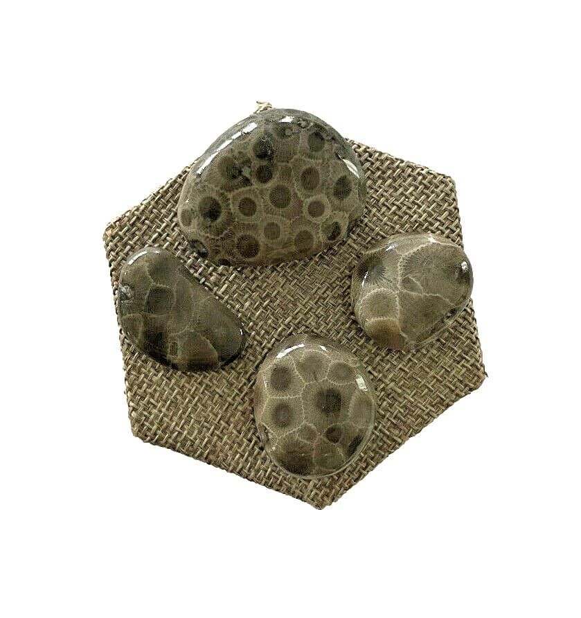 ***GREAT PRICE*** A SET OF 4 PETOSKEY STONES - BELOW RETAIL PLUS FREE SHIPPING! 3