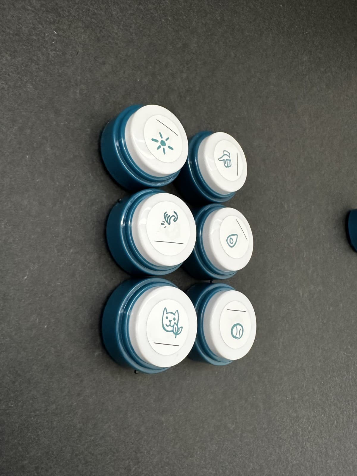 FluentPet Basic Buttons - Set of 6 - Open Box - Recordable - Used 6