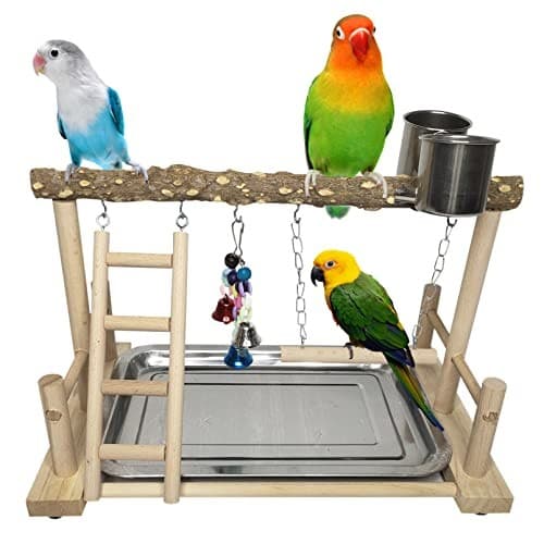  Bird Playground Parrot Playstand Birds Play Stand Wood Exercise Perch Gym  4