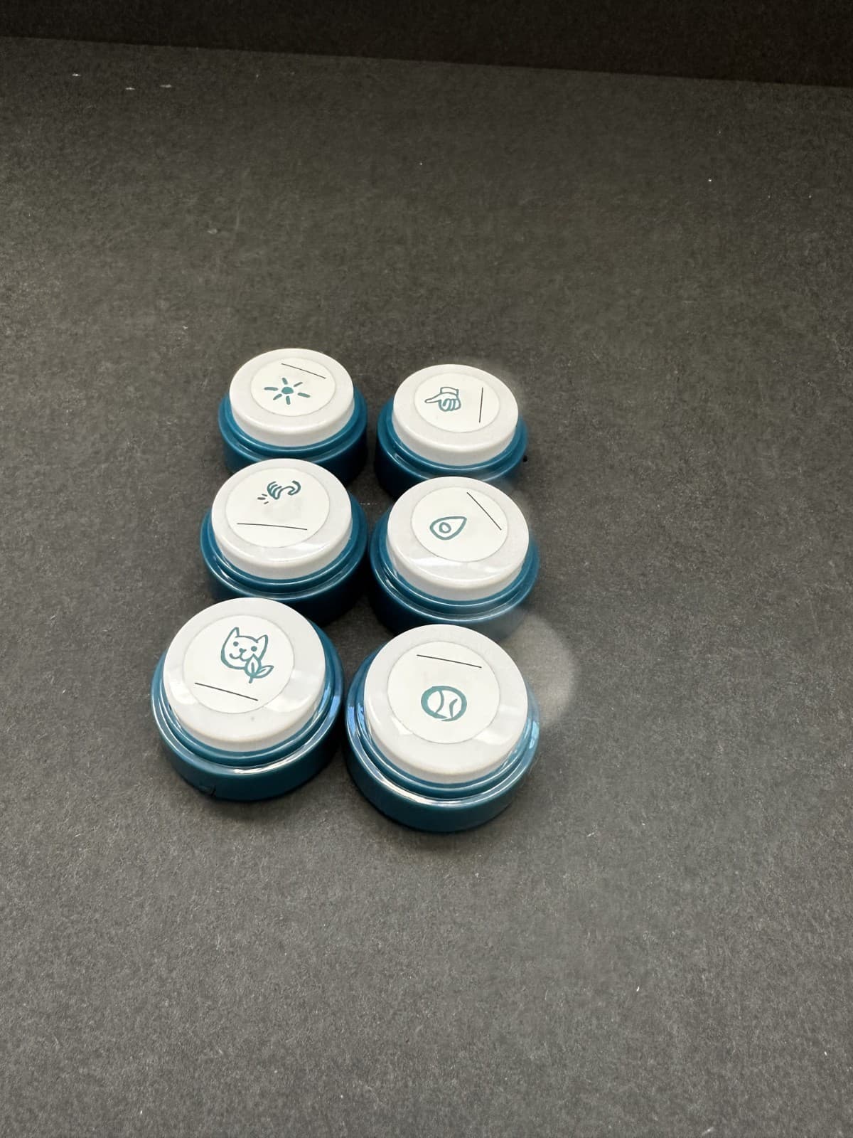 FluentPet Basic Buttons - Set of 6 - Open Box - Recordable - Used 4