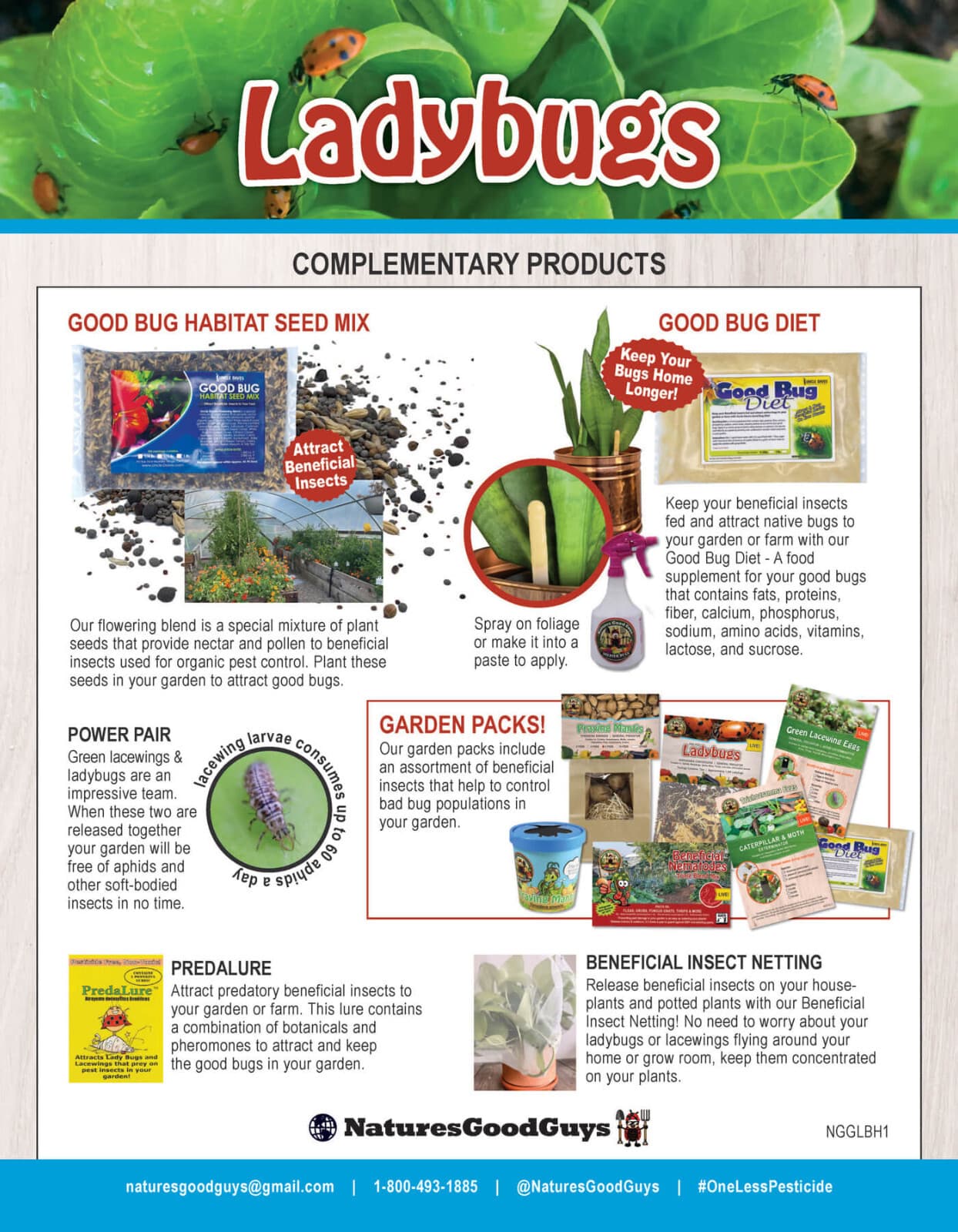 3,000 Live Ladybugs - Guaranteed Live Delivery! (2 x 1,500) 4