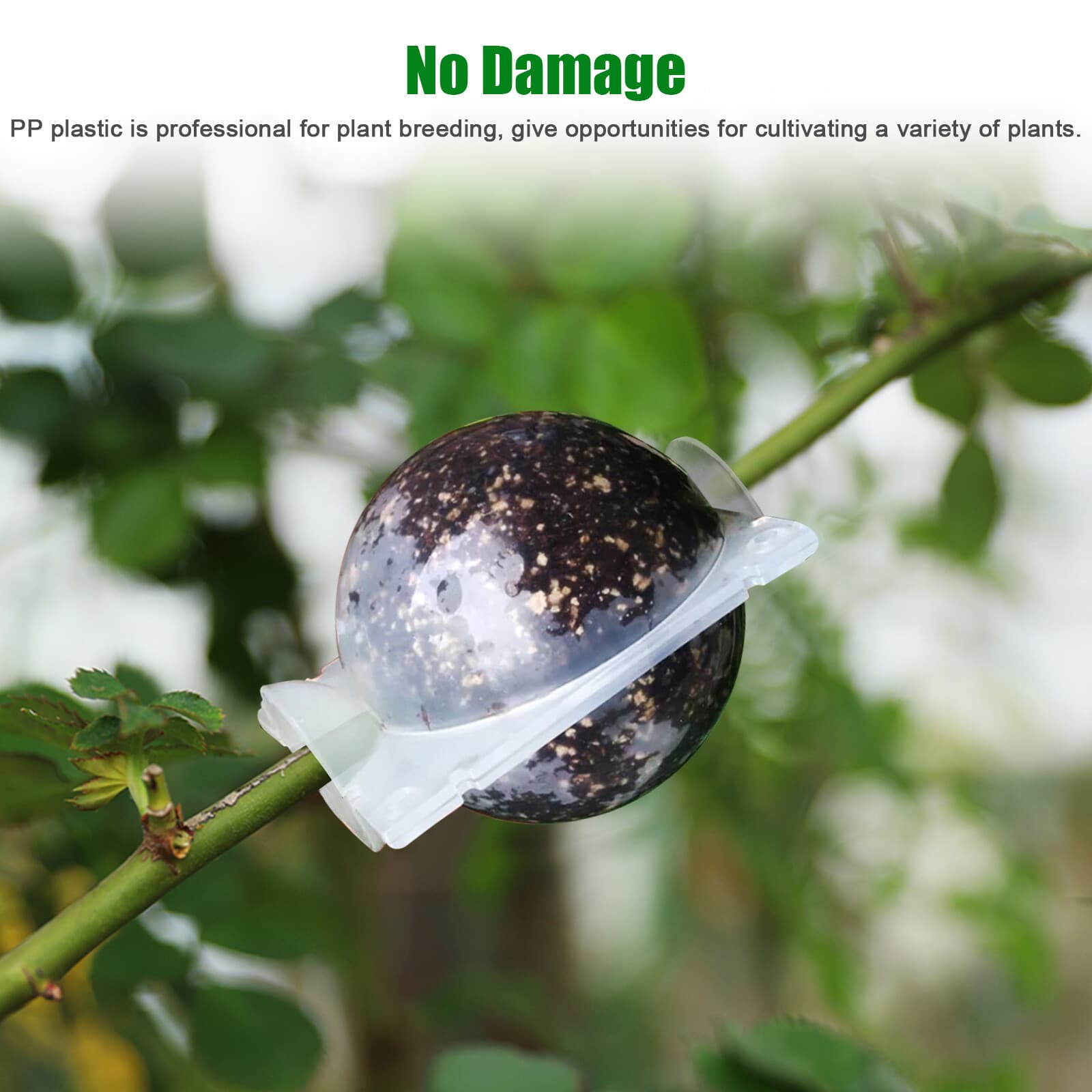 10PCS 5CM Plant Root Growing Box Reusable Air Layering Pods for Fast Propagation 2