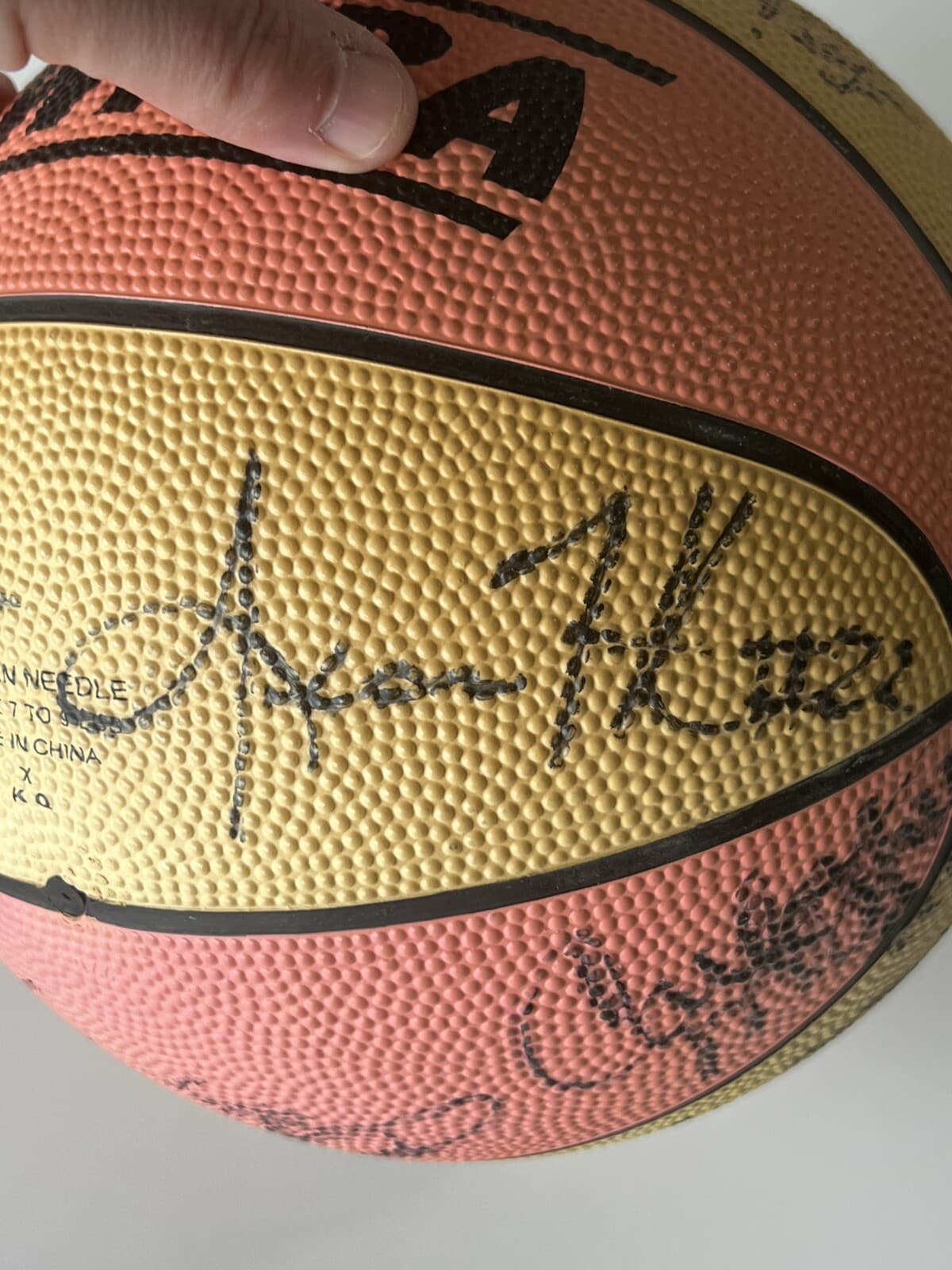 WNBA Basketball Signed Autographed Basketball - 15 Autographs - Sears Spalding 5