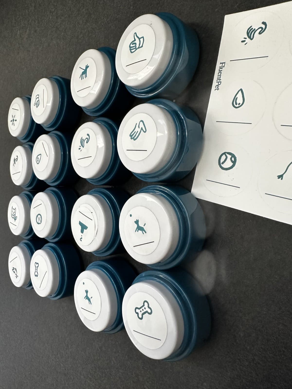 FluentPet Basic Buttons - Set of 16 - Open Box - Recordable - Used 3