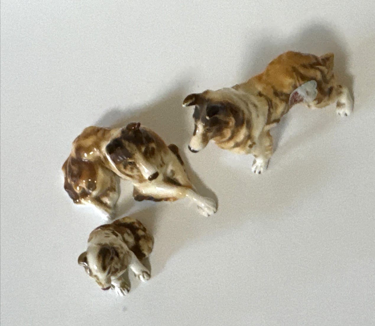 Bone China Three Border Collies Dogs Laying Down Crossed Paws stand sit Shiken