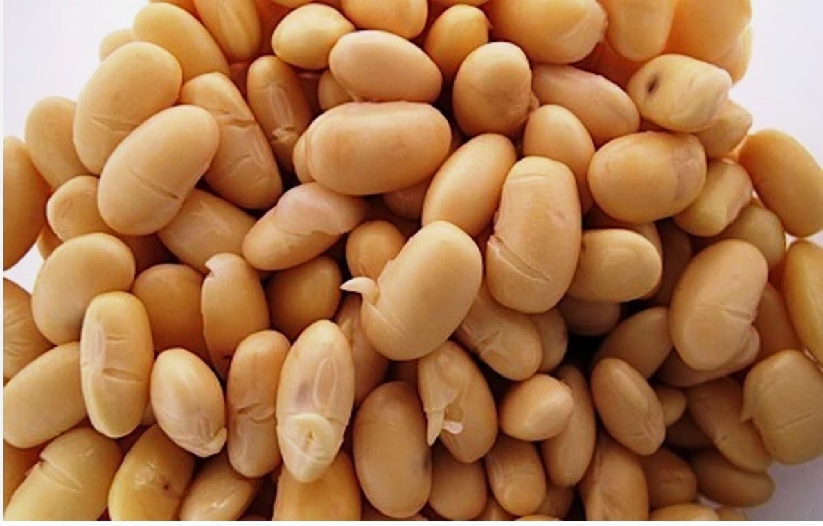 Soybean for Tofu Soymilk Vegetarian Protein US Grown Non-GMO 4