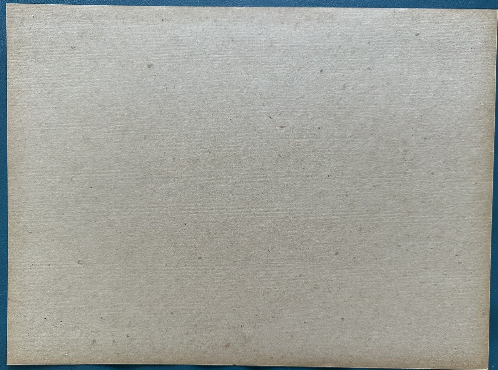 THE BIRDS TIPPI HEDREN ALFRED HITCHCOCK MEXICAN LOBBY CARD 1963 UNUSED 5