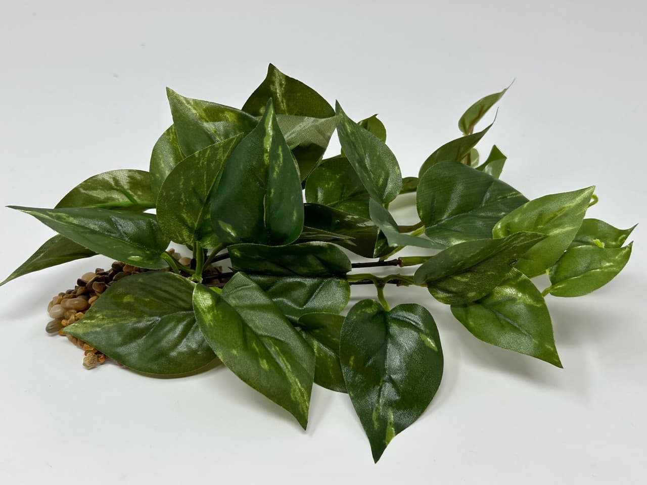 8" LONG, LOW Green/White POTHOS Bush, soft silk aquarium plant, stone base, Gold 6