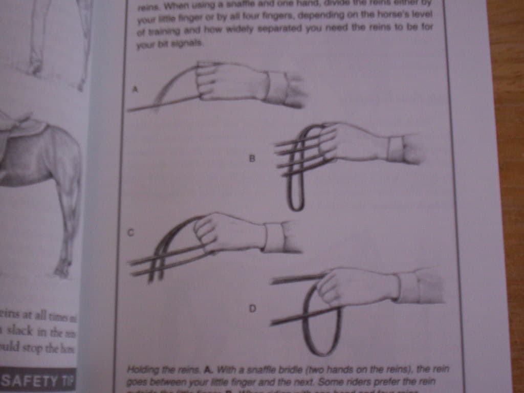 Storey's Guide to Training Horses Ground Work Driving Riding English Western 3