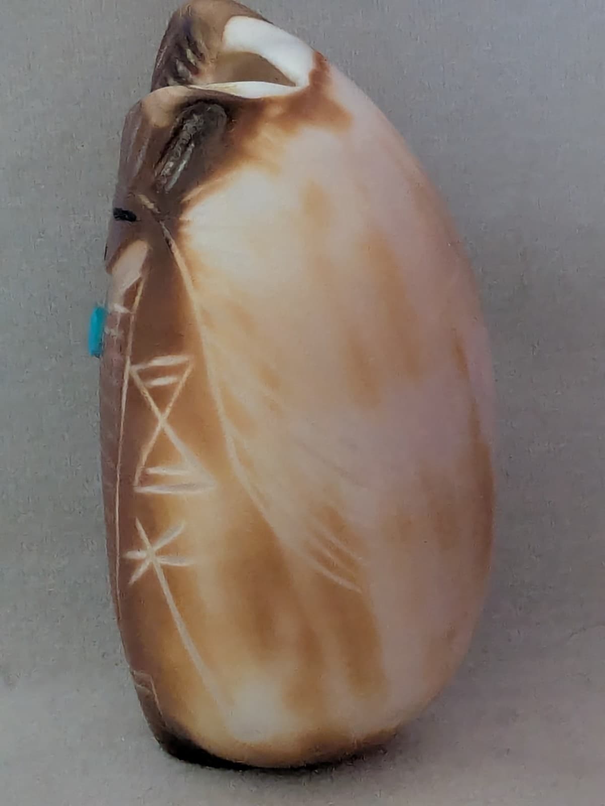 Daniel Chattin-Cowrie Shell Corn Maiden-Zuni Fetish-Native American-ShellCarving 4