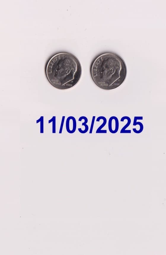 2009P ROOSEVELT DIME SEMI-KEY! Circulated!LOT OF 2!