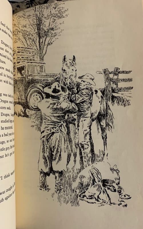 A Horse Called Dragon POA Pony of Americas Lynn Hall 1971 1st Printing HB ex-lib 6