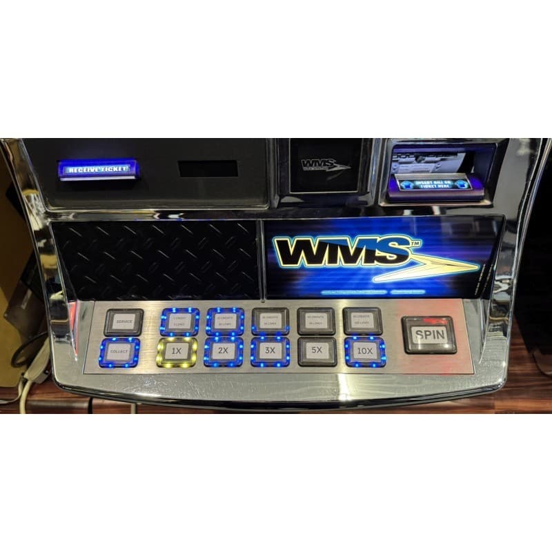 WMS Blue Bird 2 Great Owl 6