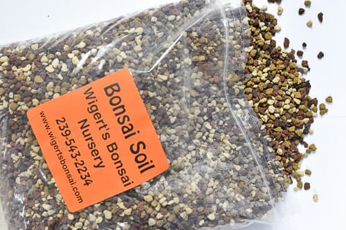 Two 1 Gallon Bags of Bonsai Soil - Premium Mix (2 gallons of bonsai soil) 2