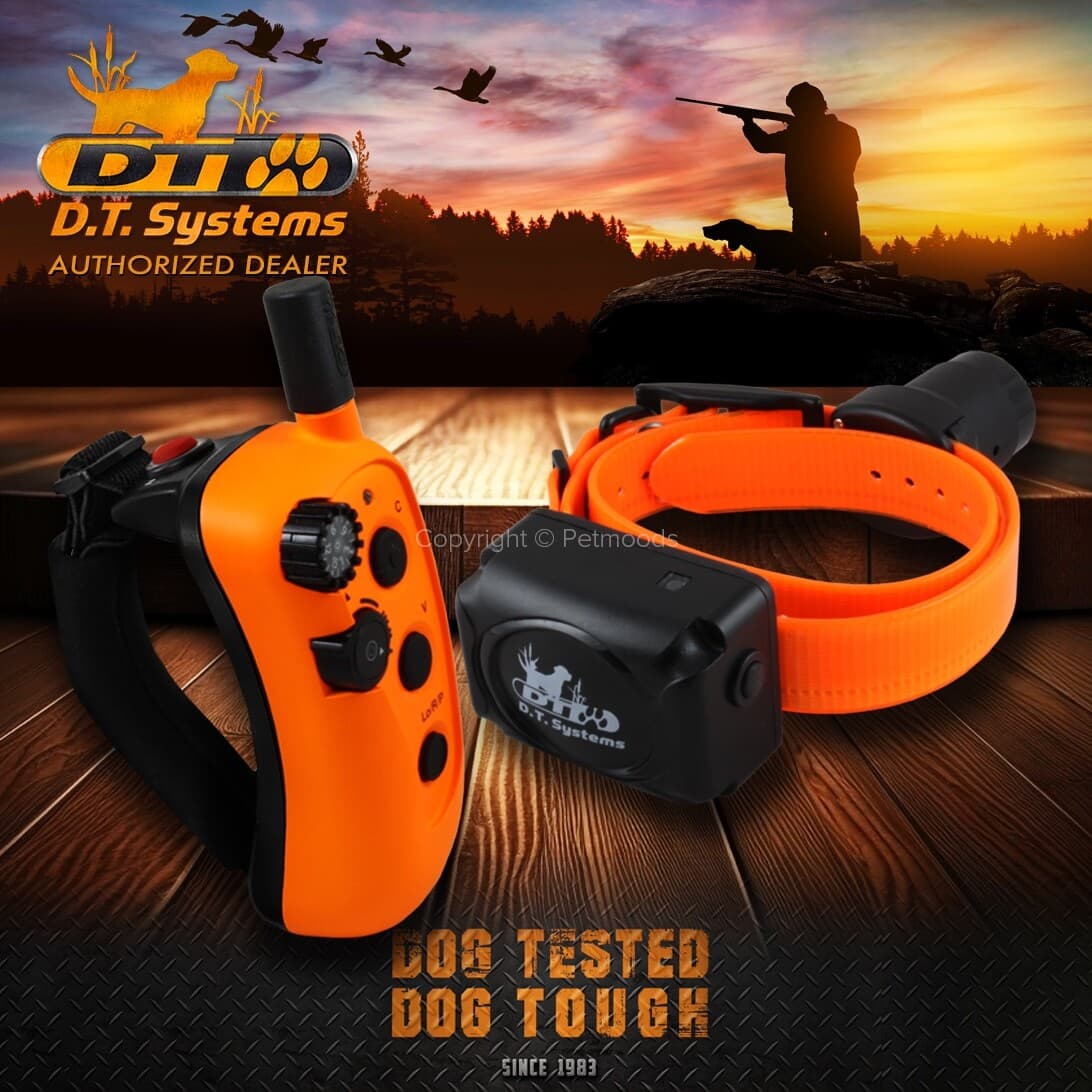 DT Systems RAPT 1450 Upland Pro Trainer Beepers Rapid Access 2