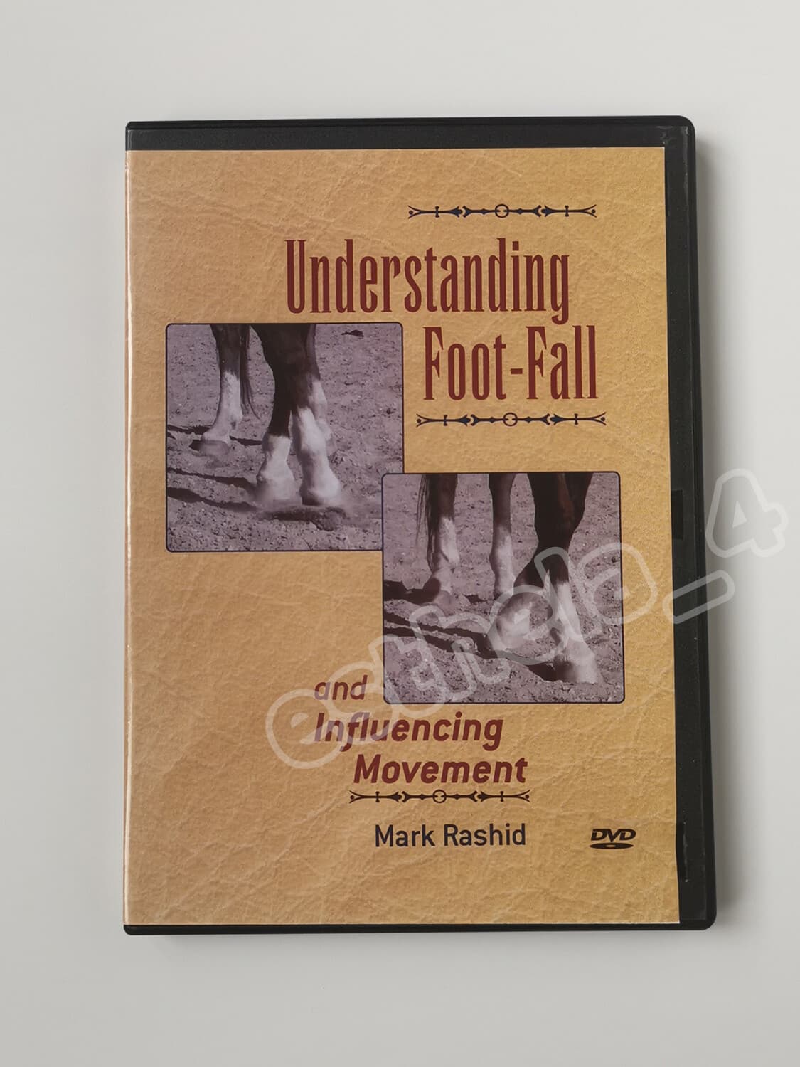 Understanding Foot-Fall & Influencing Movement with Mark Rashid