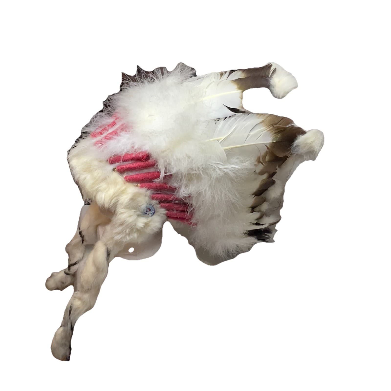 Vintage Native American Feather Headdress Plains Indian Style Cahuilla Tribe 3