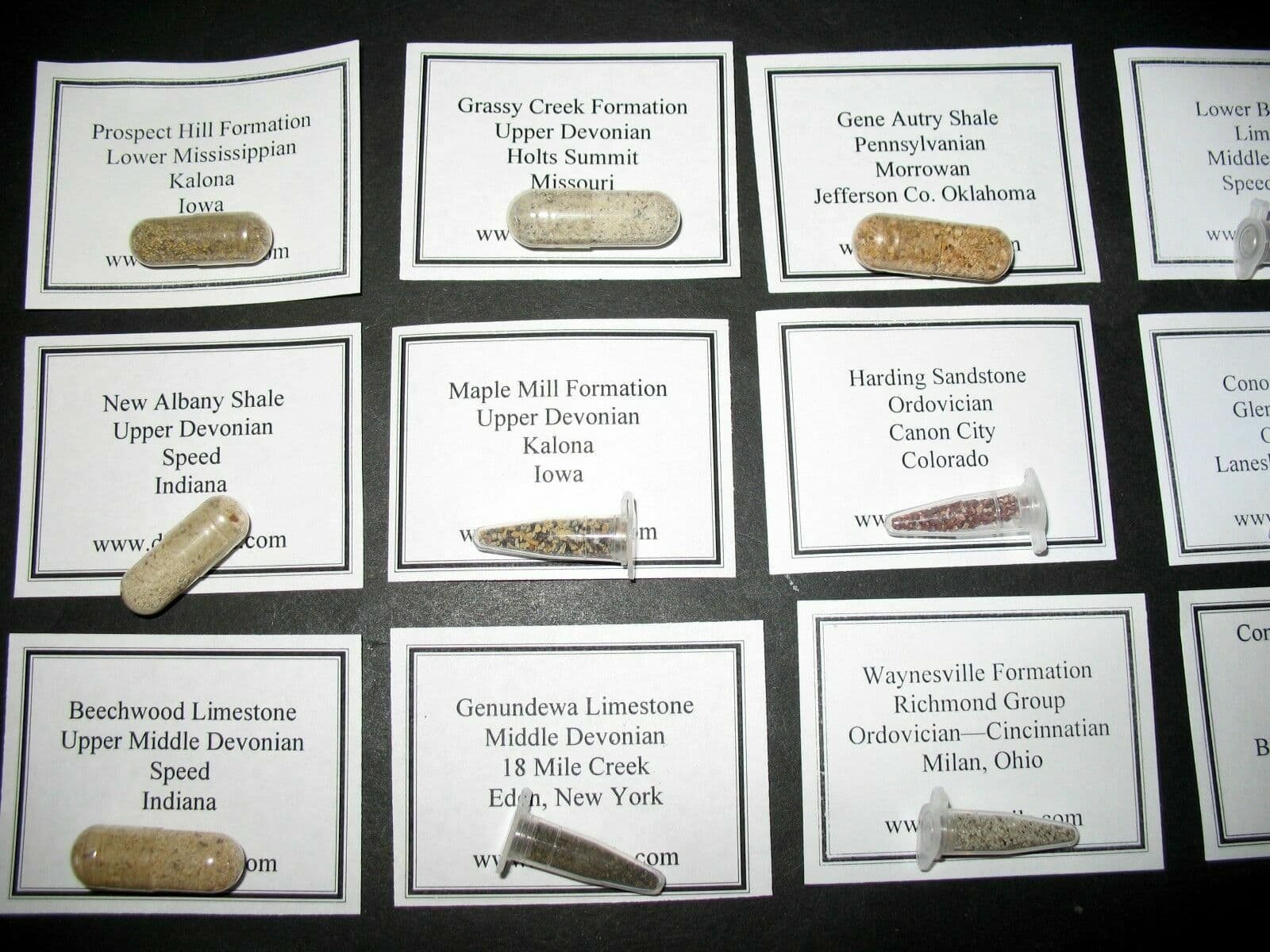 Ordovician to Pennsylvanian Conodont fossil matrix collection 12 samples 4