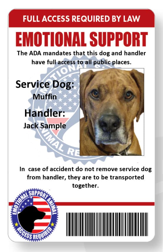 Service dog handler ID card printed in vivid full color mailed out same day 2