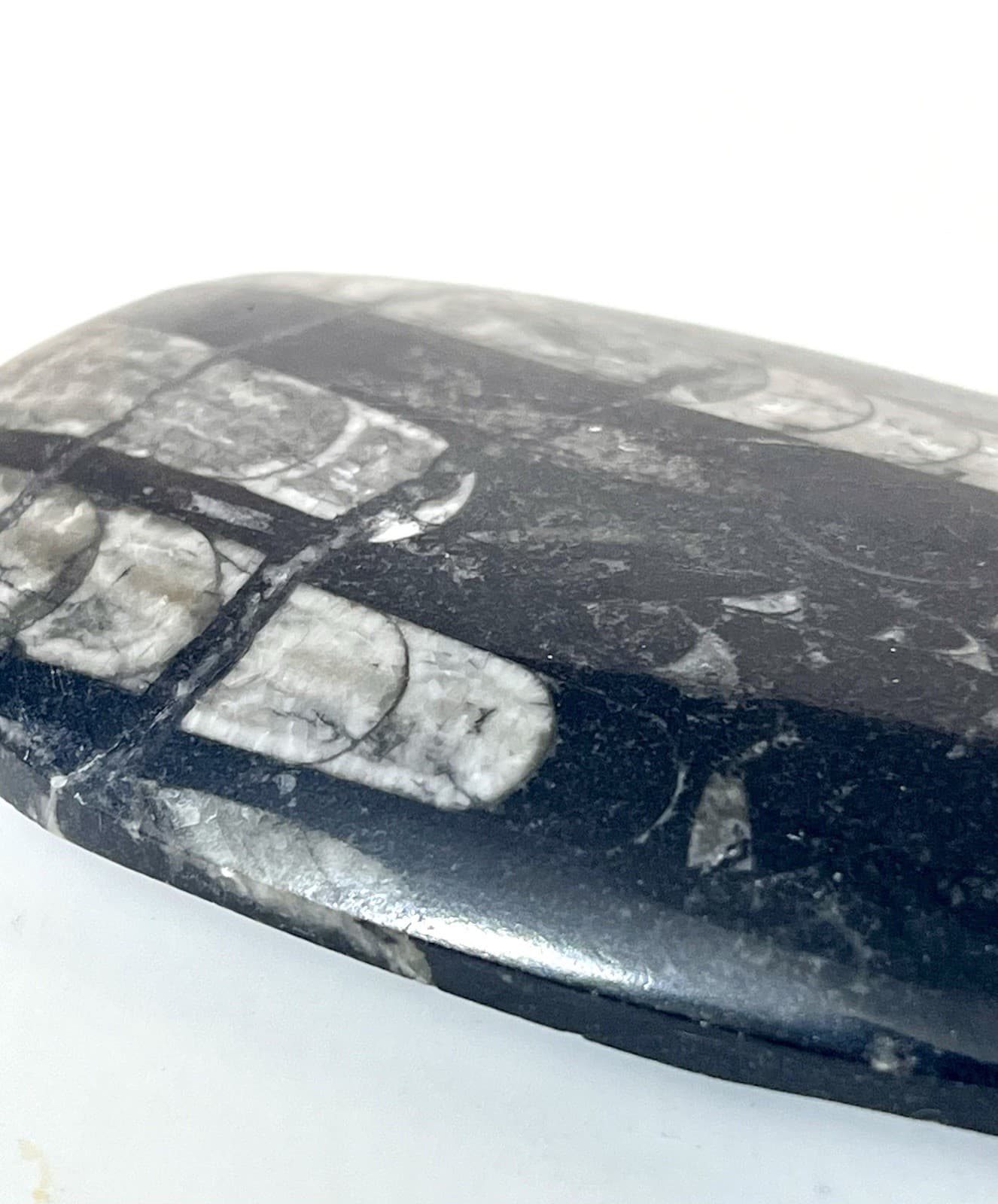 Orthoceras Fossil Specimen Polished Stone Spear Shape Black White Metaphysical 6