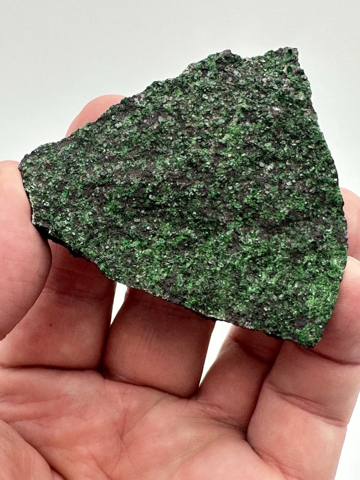 111g 2.5x2.5 RARE Green Uvarovite Garnet Crystals on Matrix Mineral Specimen 2