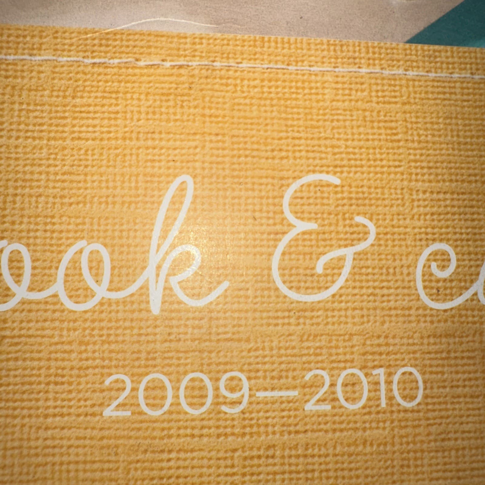 Stampin' Up Idea Book & Catalog  2009-2010 3