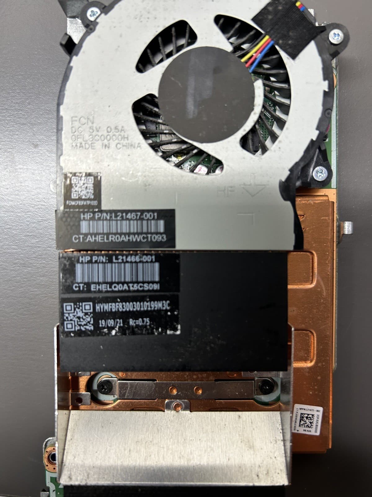 AMD Radeon RX560 4GB DP GPU for HP EliteDesk Pro Mini PC L21467-001 L21466-001 4