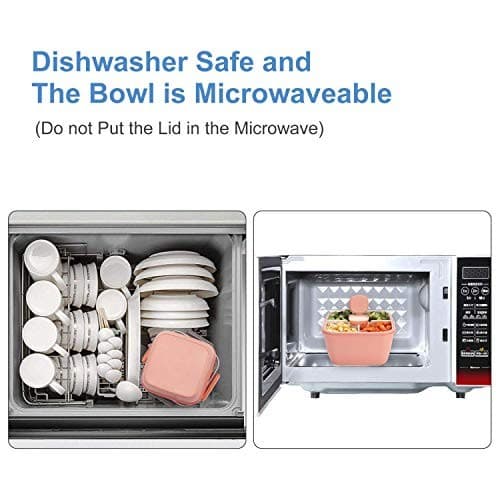  Salad Lunch Containers To Go, 2 Pack 52-oz Bowls with 3 Pink+Green 6