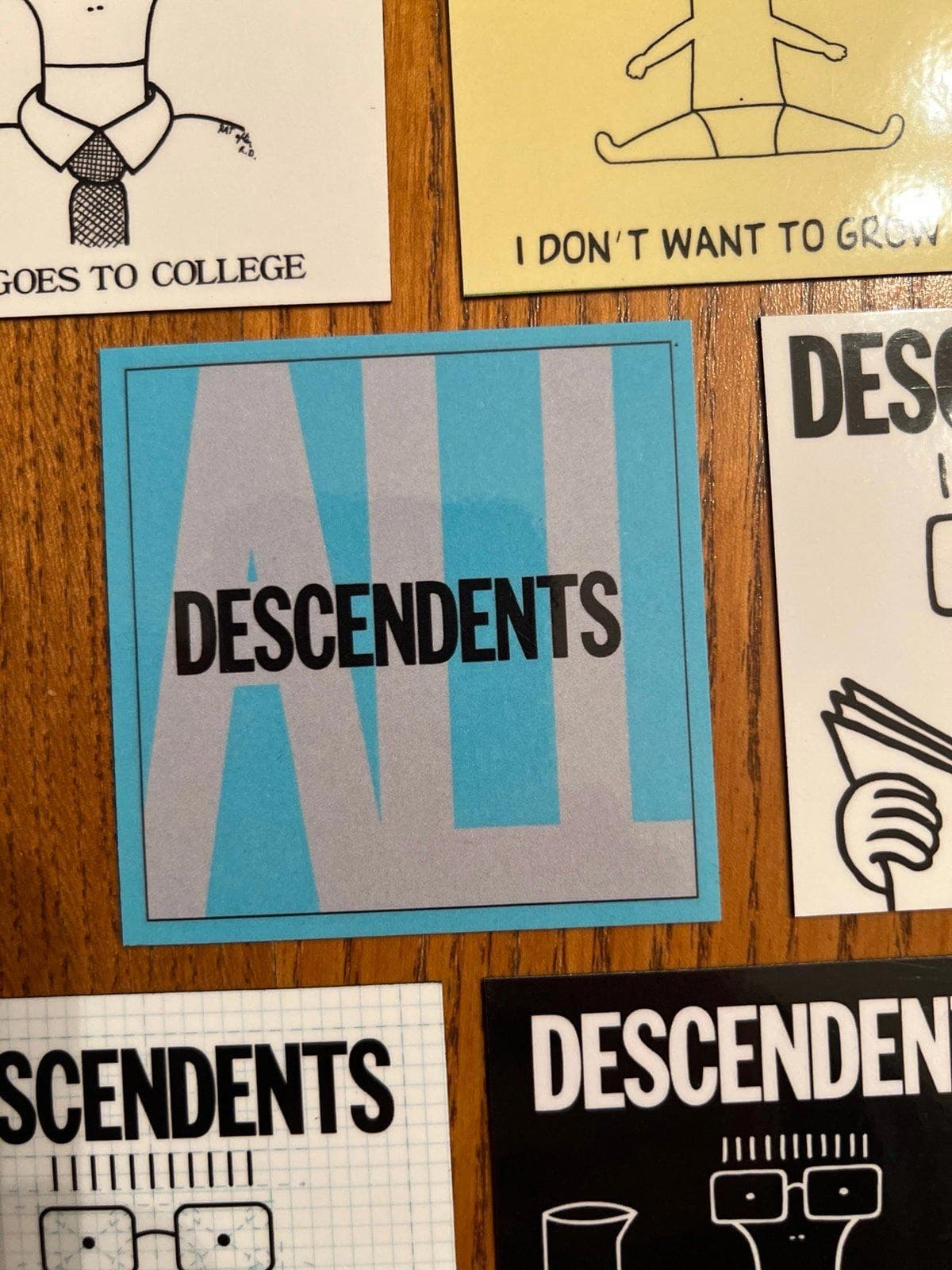 Descendents fridge magnets 6