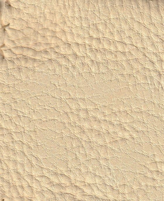 RedEar Turtle Rattle, Coyote, Deer,Feathers, Beads,Tins,Not Endangered tratc3 4