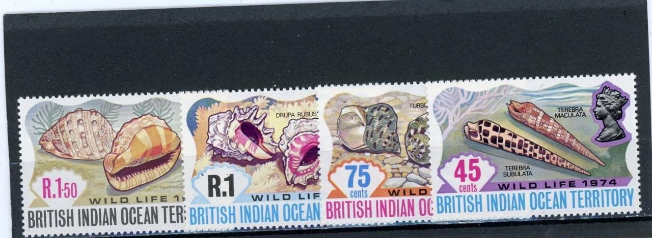 British Indian Ocean BIOT 1974 Shells Scott# 59-62 Mint NH