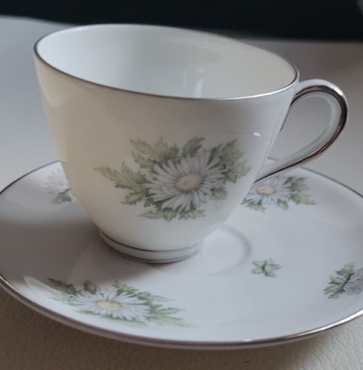 2 Pcs. Teacup  Saucer Set Silver Thistle Franconia Flowers Selb Bavaria 3