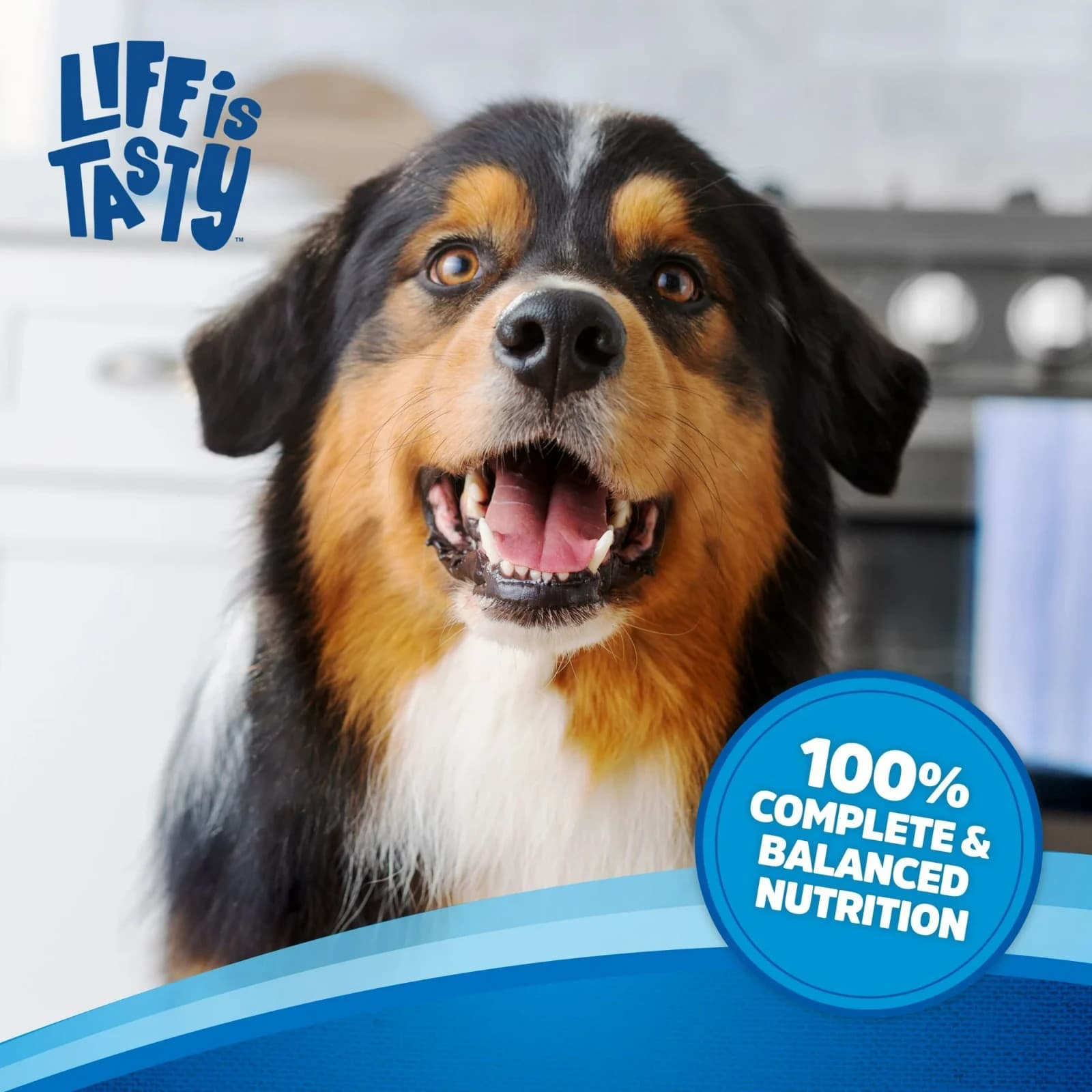 Kibbles 'n Bits Original Savory Beef & Chicken Flavors Dry Dog Food, 45 lb. Bag 6