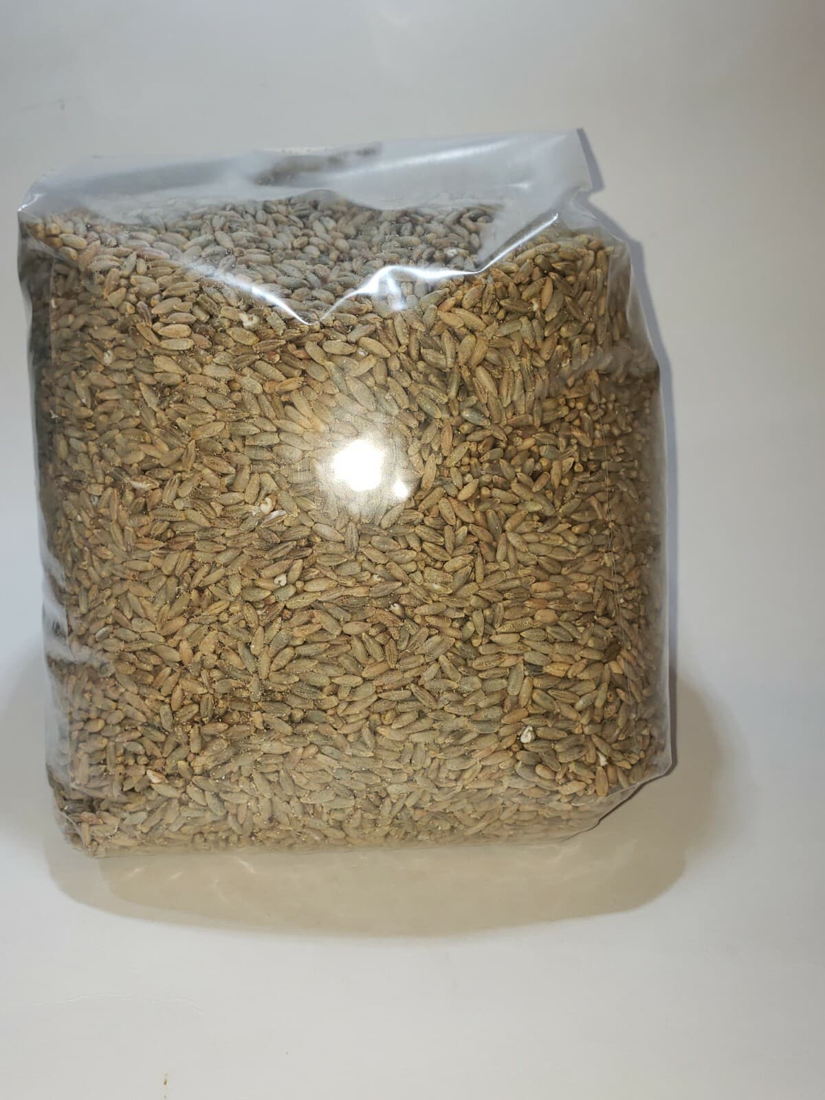 Organic Rye berry grain 5 LB..no fungicides!!