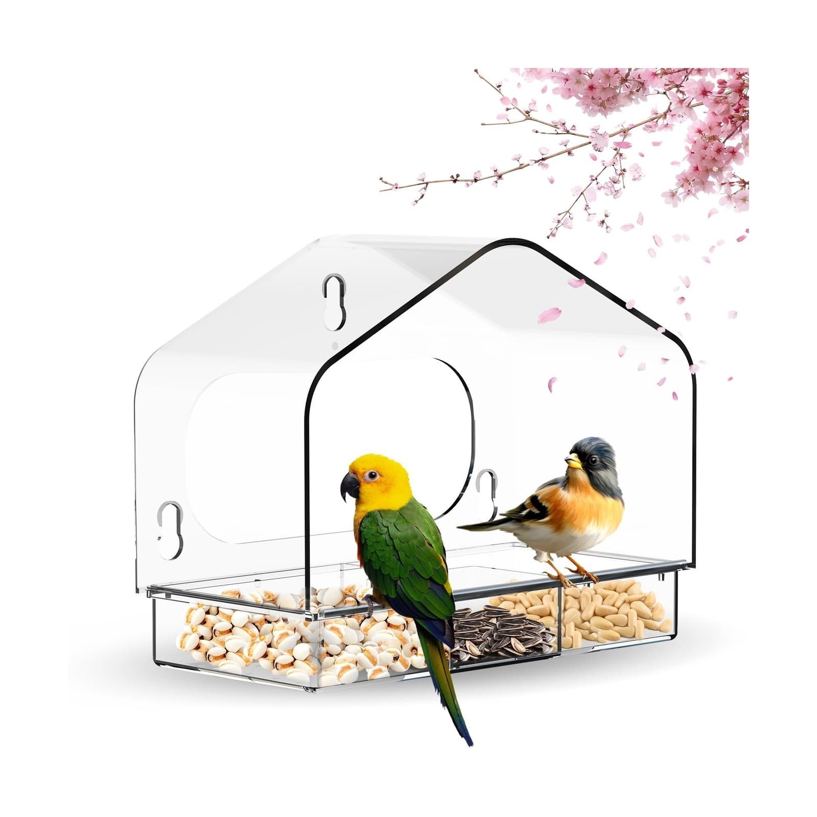 Clear Window Bird Feeder with 3 Strong Suction Cups and Detachable ... Fast Ship