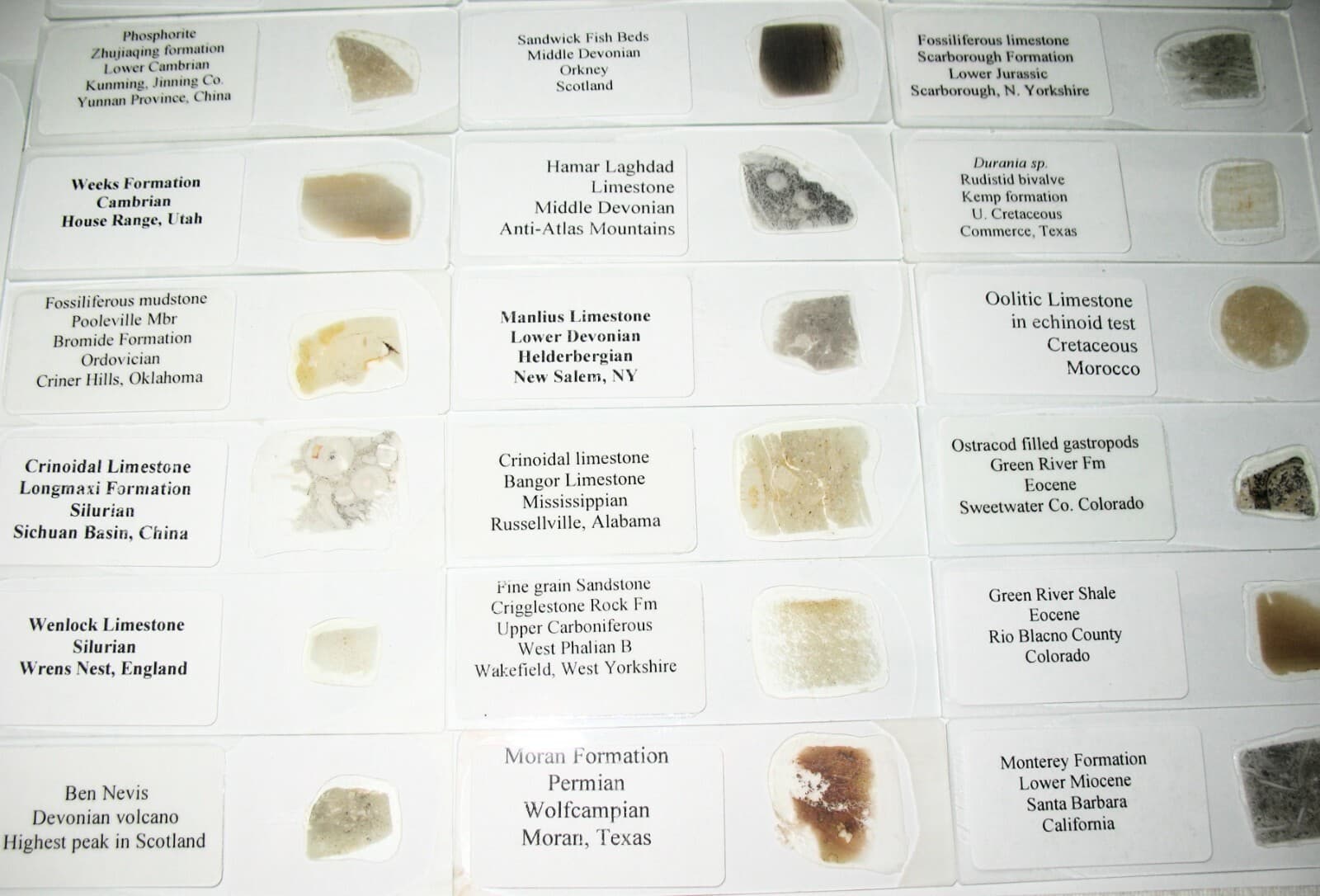 Geological Formation 25 Thin Section Slides Precambrian to Miocene Fossils Rocks 3