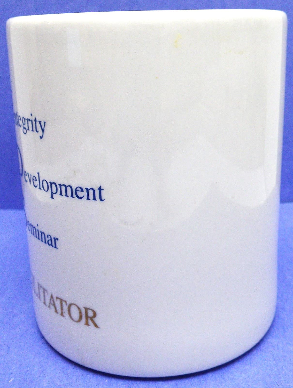 U.S. NAVAL ACADEMY Coffee Mug, Ex Tridens Scientia with BLUE LOGO. Facilitator. 5