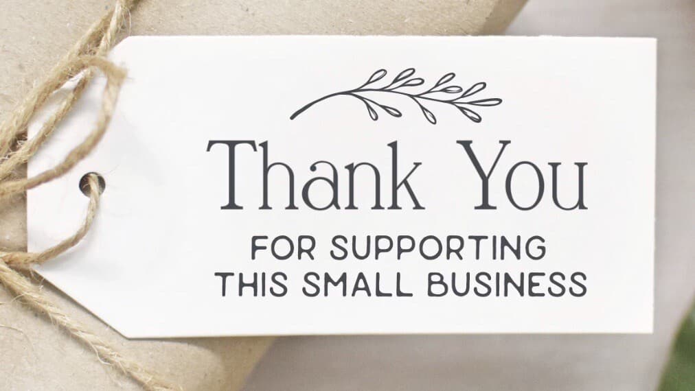 3 Pack K-Rain Check Valve (SAM) - Rubber Seal P16009110 - RPS 75 75i Pro Plus 3