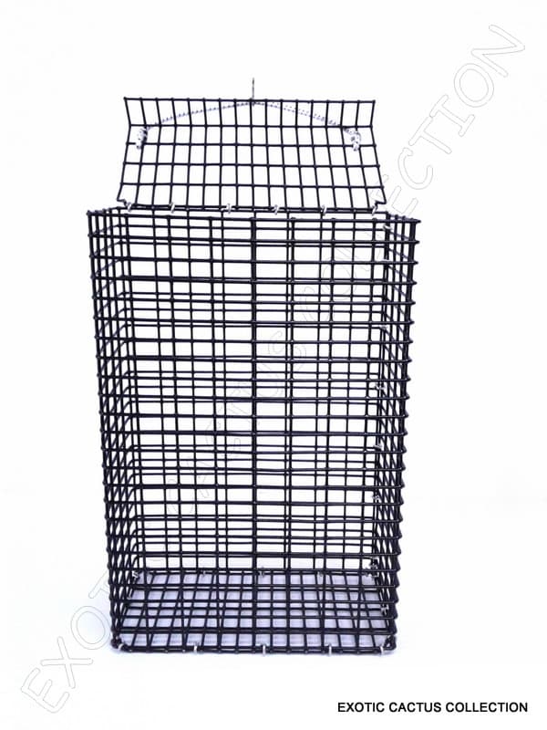 CHUM BOX marine grade pvc coating black wire mesh pot fishing bait cage 12x8x4 5