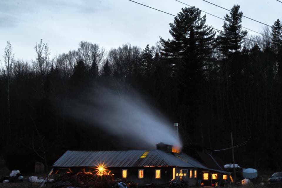 (1) half gallon glass jug of Pure Vt. "Organic" Maple syrup Golden, Amber, Dark 4