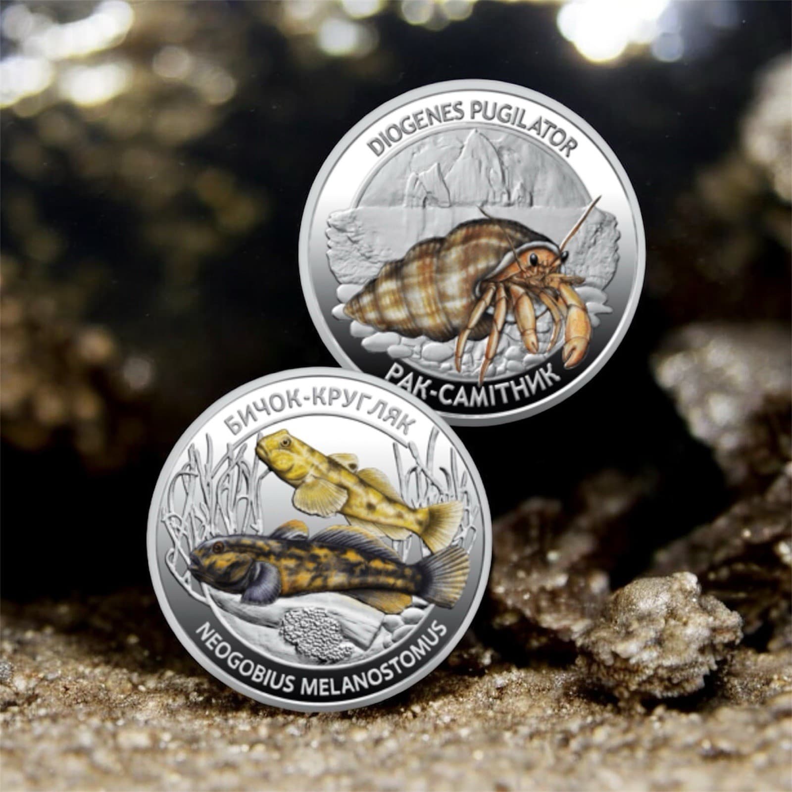 New Set of two commemorative coins`Inhabitants of the deep sea` 4