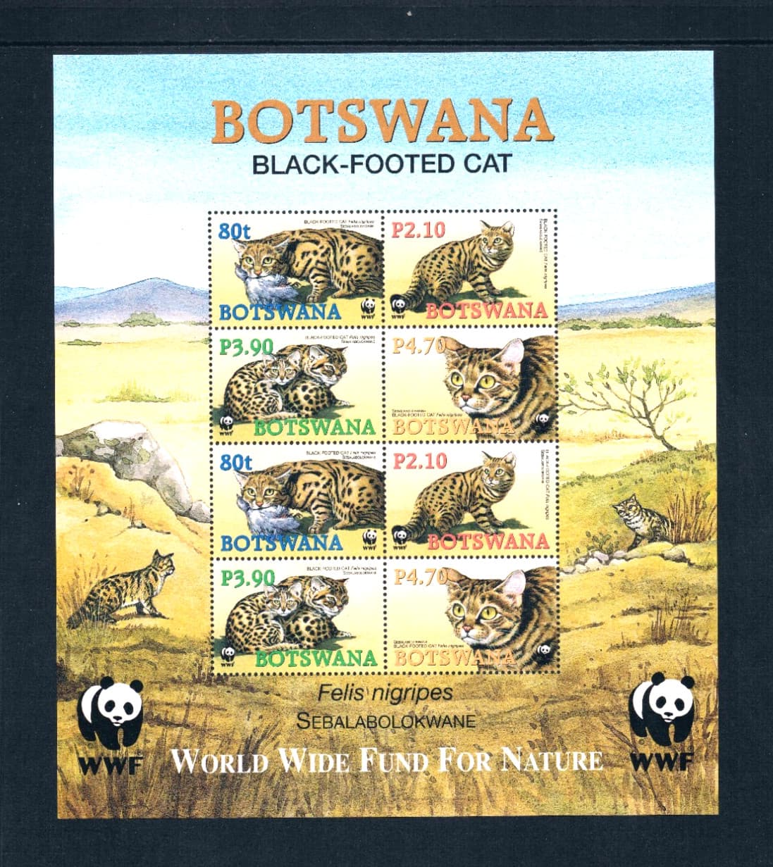$10.00 Scott Value - 2005 BOTSWANA Wild Cats s/s African Wildlife CV MNH NH UMM 3