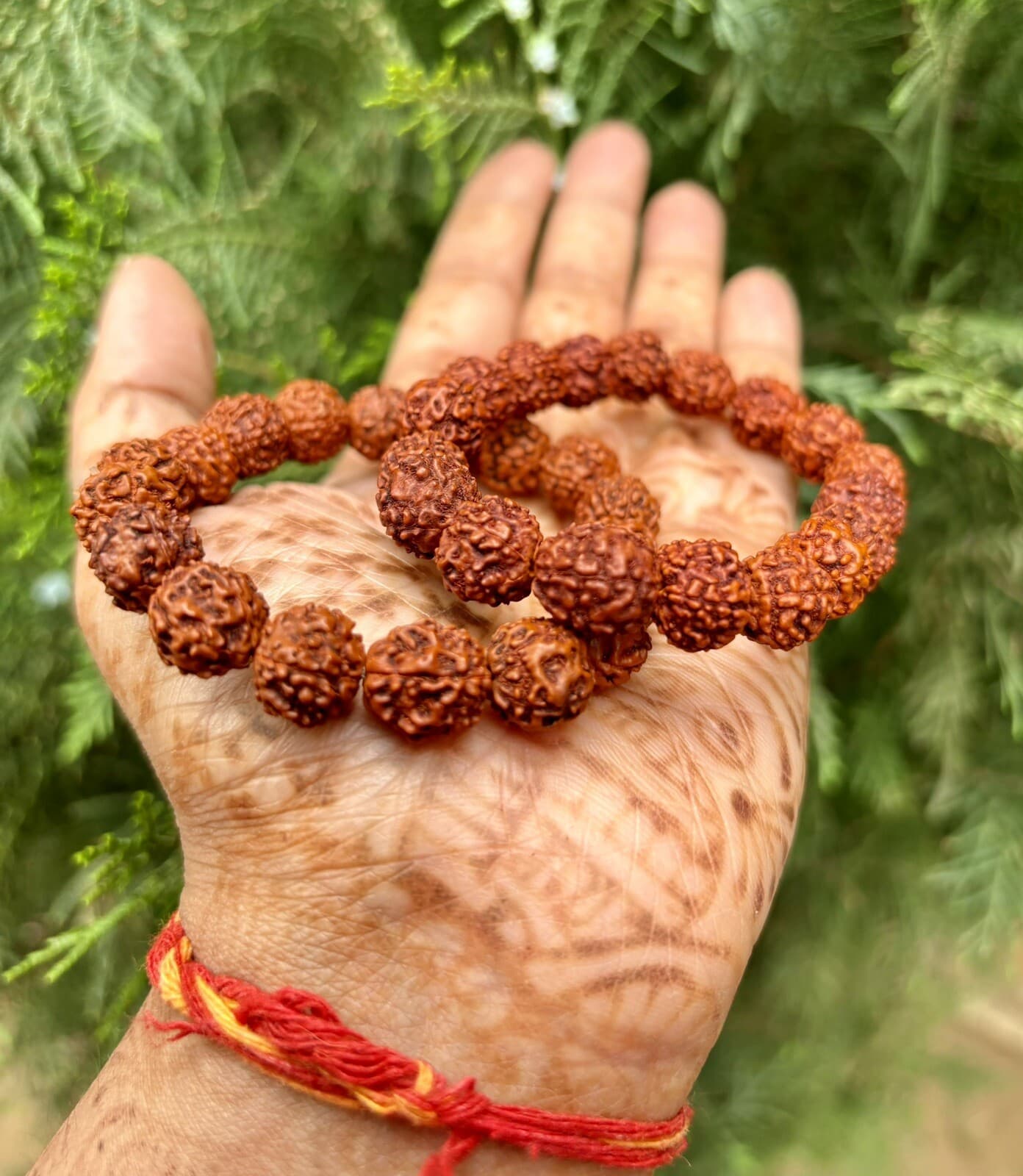 2 Pc Natural RUDRAKSHA 5 mukhi Rudraksh Bracelet Adjustable Unisex, 9-10 mm Size 3