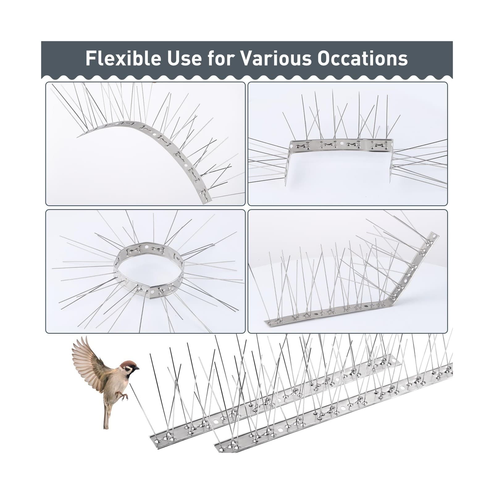 Teyssor Bird Spikes, Stainless Steel Bird Spikes for Pigeons and Small Birds ... 5
