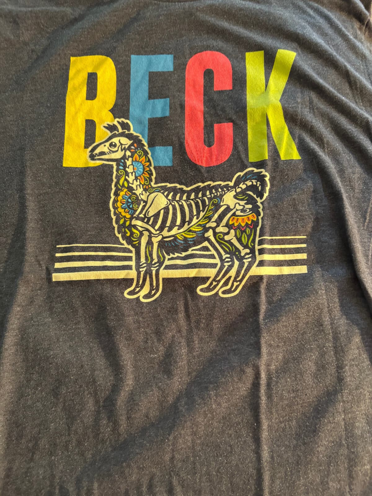 BECK T SHIRT PSYCH ART LLAMA Large check pictures Great art is perfect