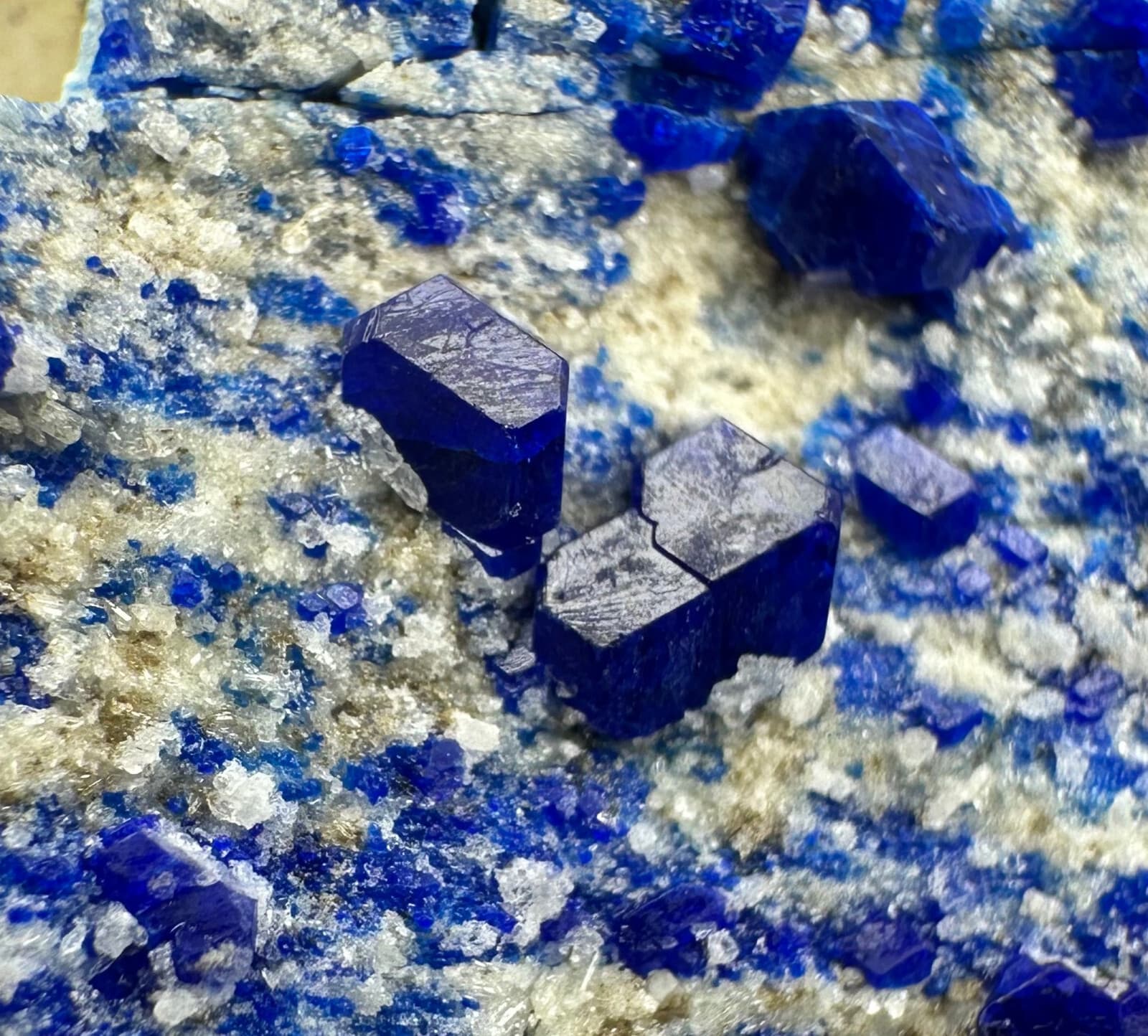 240 Gr. Full Terminated Rare Top Blue Hauyne Crystals Cluster On Matrix @Afg 3