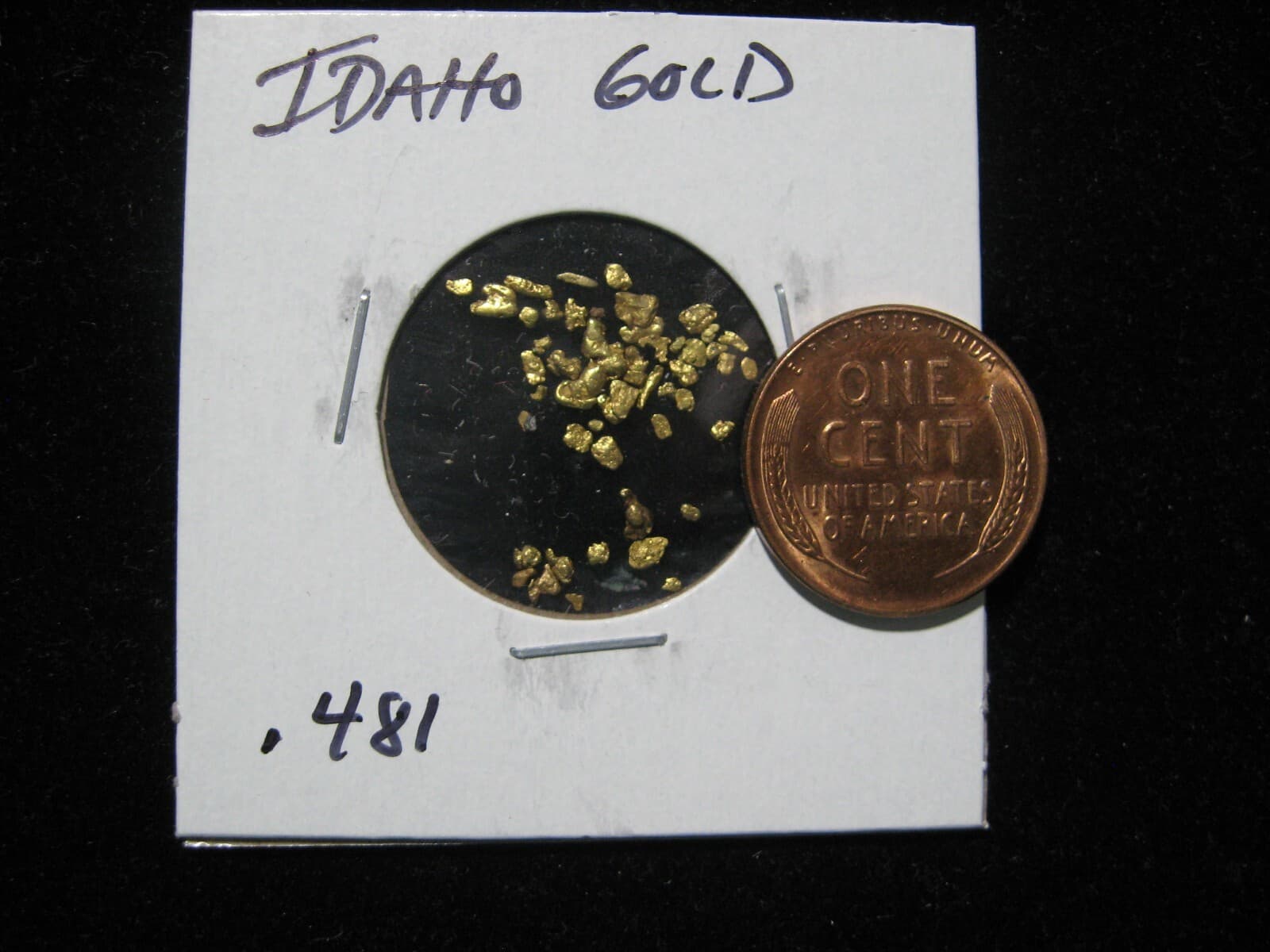 IDAHO GOLD NUGGET .481 GRAM